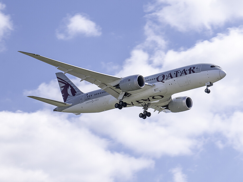 Qatar dreamliner.jpg